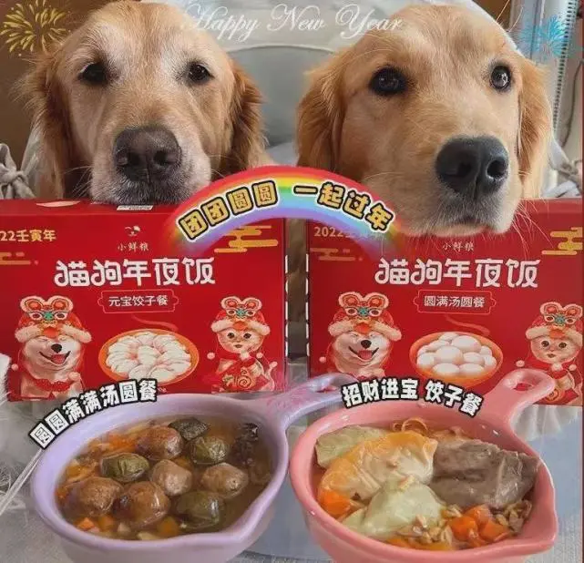 猫狗过大年，花钱比我多