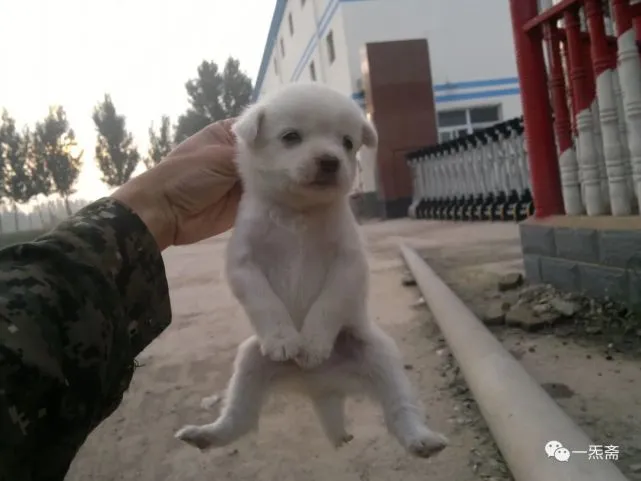 七彩霞光（二）