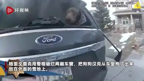 美国一辆汽车着火狗狗被困 警察砸破玻璃救狗