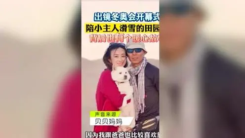 冬奥开幕式陪小主人滑雪的狗狗 背后也有个暖心故事