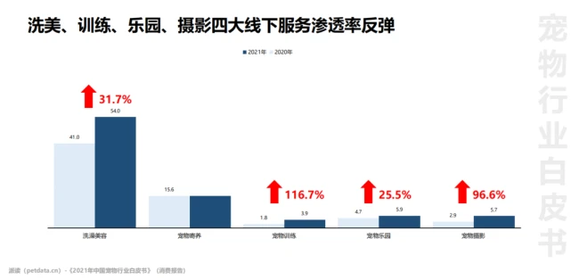 解码宠物线下门店：先建立安全感，再发展规模化