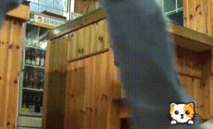 流浪狗帮主人经营“饭店”，3年来从未偷懒，知遇之恩它没忘！