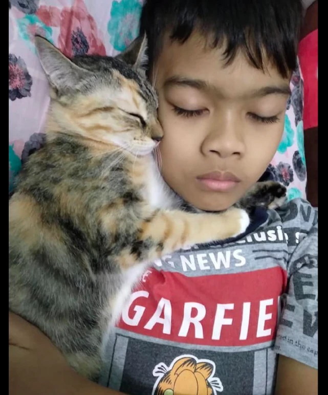 小猫咪抱着男孩一起睡觉，脸对着脸相拥的画面，也太治愈了吧！