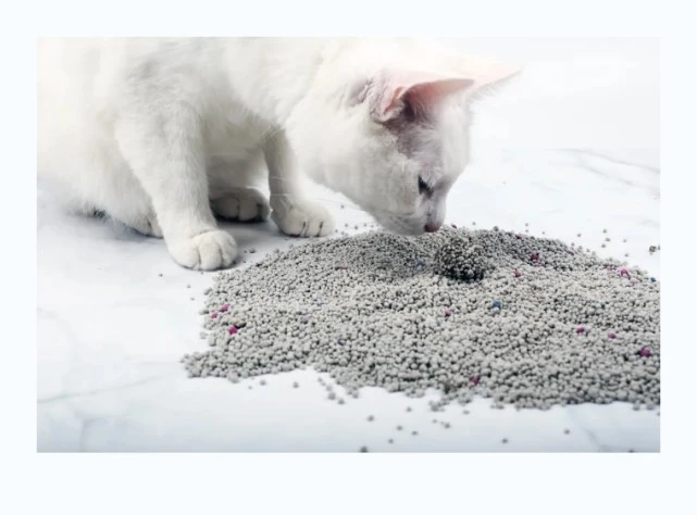 当“猫主子”们也用上智能家居