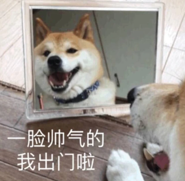 这些道理，相信养狗越久，你懂得越多！