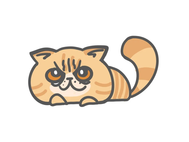 猫咪总喜欢“轻咬”主人的手的原因有这些，真是别有用心