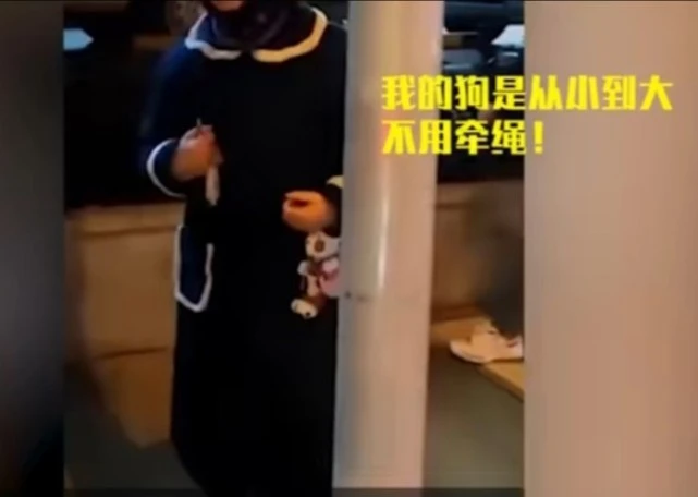 女子遛狗从不拴绳，还扬言：110如果出警我会批评他们