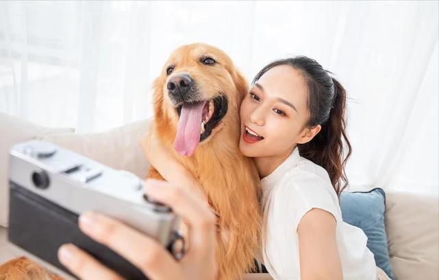 你选择养公狗还是母狗？不同的选择过的是不同的人生