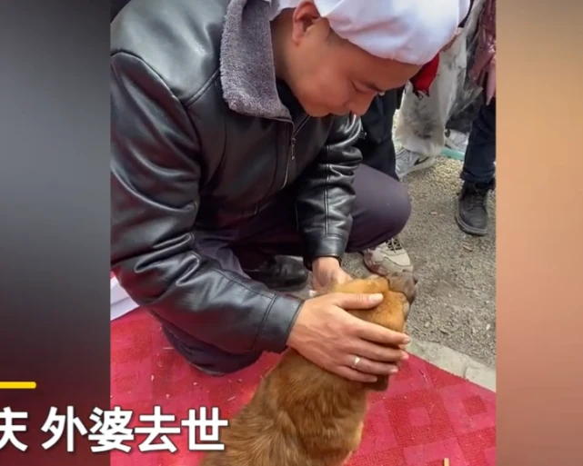 重庆外婆去世狗子对着遗像伤心抽泣，不能自已，看着都心痛