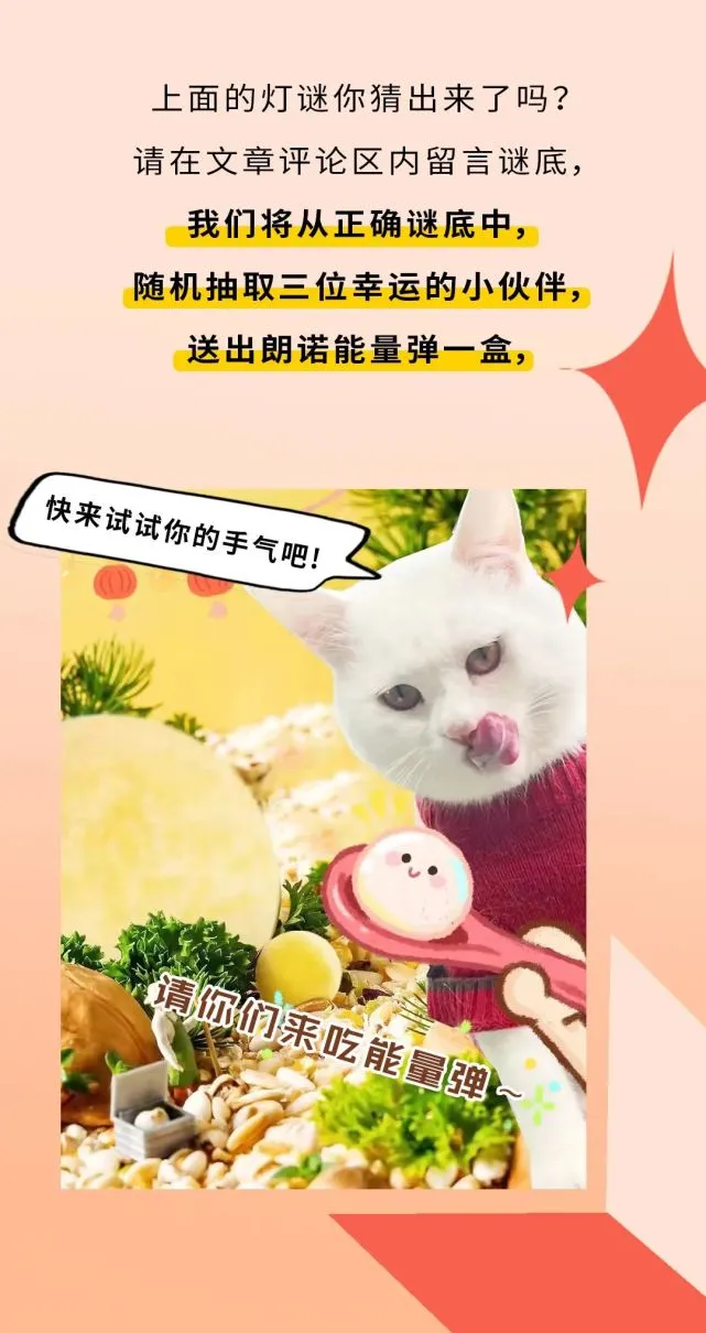 前方高甜！情人节牵手元宵节，你家毛孩子吃“元宵”了么
