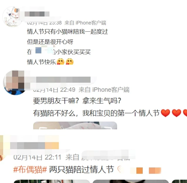 情人节猫粮比玫瑰更香？城市未婚青年选择与宠物为伴