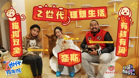 撸猫狗追大象 这届年轻人为什么那么喜欢动物