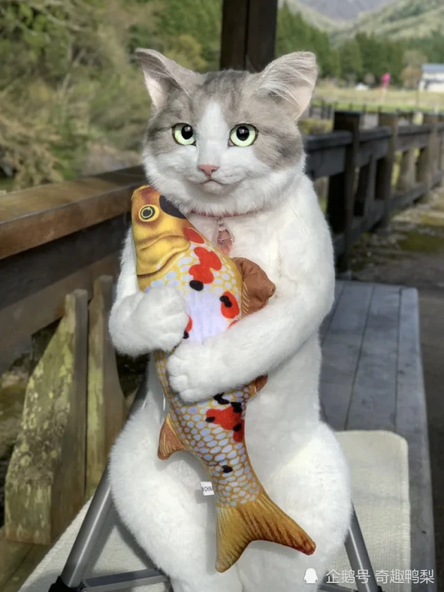 日本网红亲手制作高级逼真的猫咪包包，你见过吗？