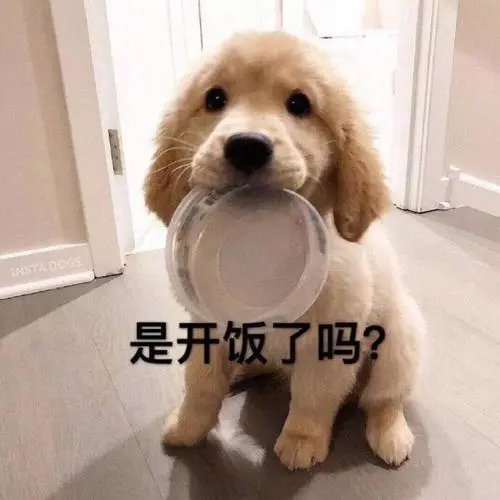 这些状况下狗狗会“痛苦极致”，大家要谨慎对待