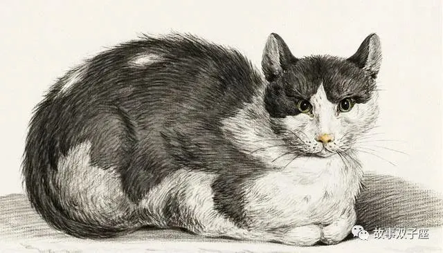 民间故事：叫魂儿