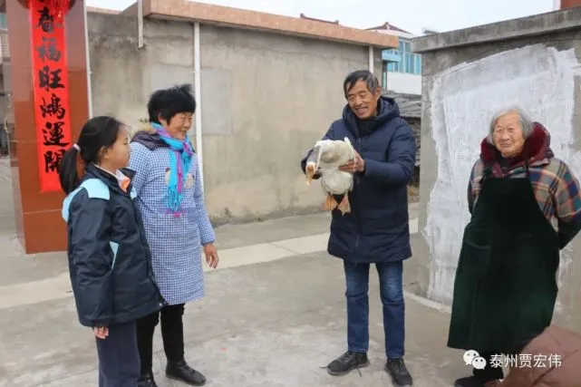 泰州市大泗镇：这只“鹅坚强”活27年了