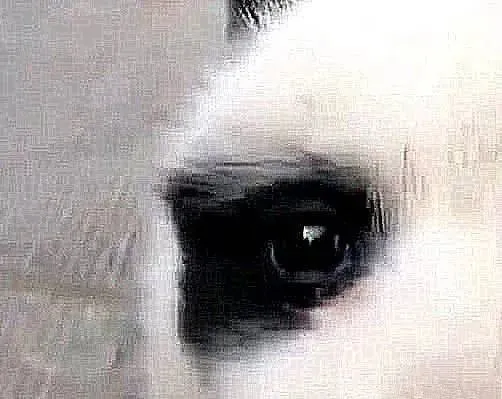 土狗生了一独生子，小狗毛发长齐全后，竟跟熊猫撞型了