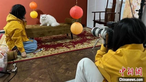 猫狗双全、舍得花钱 “Z世代”成为消费“主力军”新群体