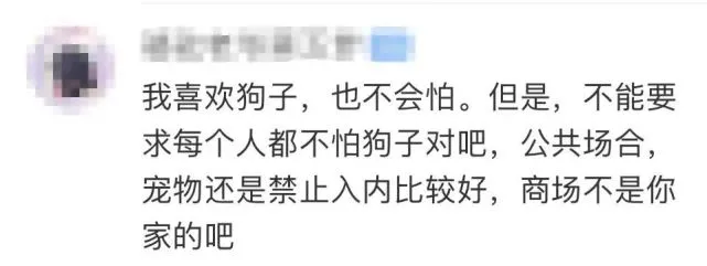 上海部分商场对宠物进室内喊停！如何看待宠物进商场？