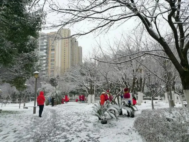 雪·雪·雪·雪·雪·寒冷依旧