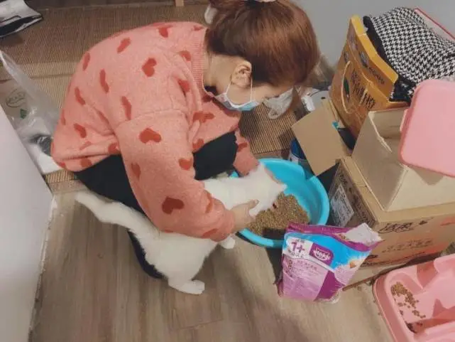 能赚钱又能撸猫逗狗？宠物上门喂养“真香”背后藏风险