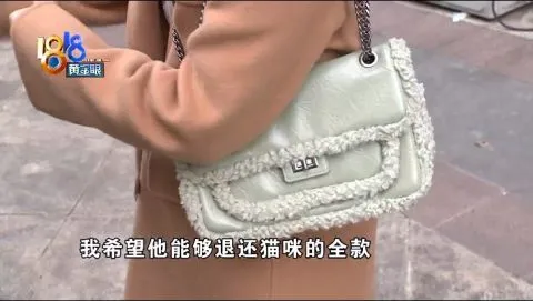 小猫到家出问题，店老板谈猫瘟感染逻辑