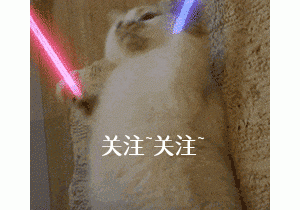 这些狗看上去高大威猛，实际上就是“胆小鬼”！