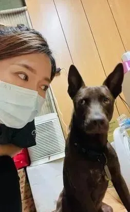 3韩系汪“高级厌世脸”塞奶妈叹：别人都大眼又可爱