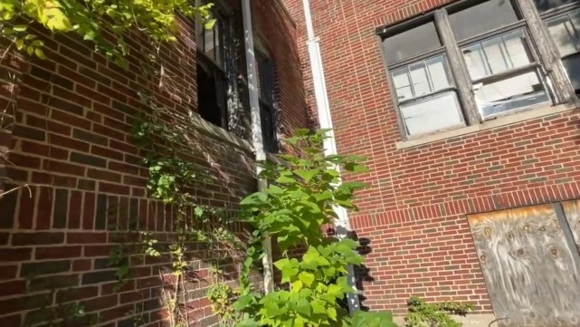 被丢在空楼里的狗狗，没吃没喝瘦成皮包骨，透过窗户哀嚎求助