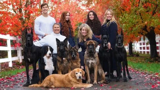 和谐有爱的大家庭！4个兄弟姐妹与8只大狗一起生活