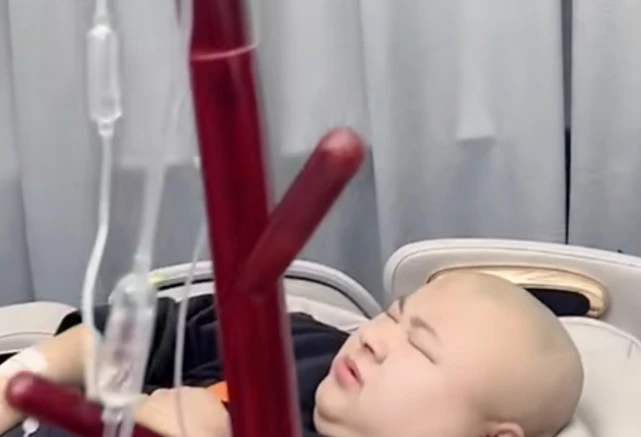 “狗老师”嘴里味道大，美娇妻满脸嫌弃，自曝财产全被妻子卷走？