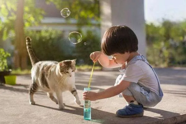 猫咪对小孩子真的不会动手吗？