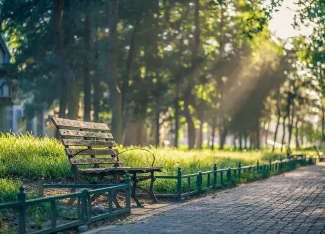 品读｜无论能力大小，都请尽量善待那些卑微的生命吧