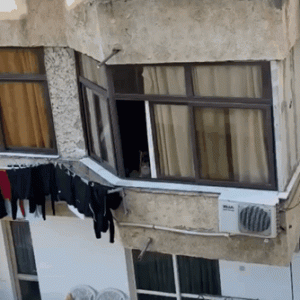 乌克兰避难路上，有人抱紧了他们的猫狗…