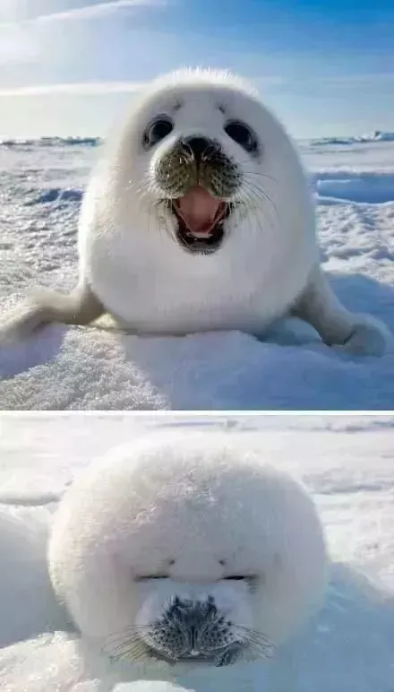 99％的人都没见过！无奇不有啊