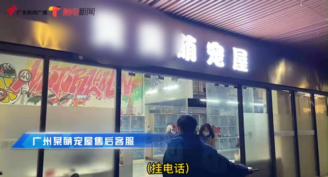 广州一宠物店卖“星期猫” “星期狗”？