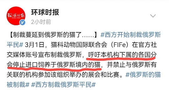 连猫猫都要制裁？看完这新闻我家猫都坐不住了！