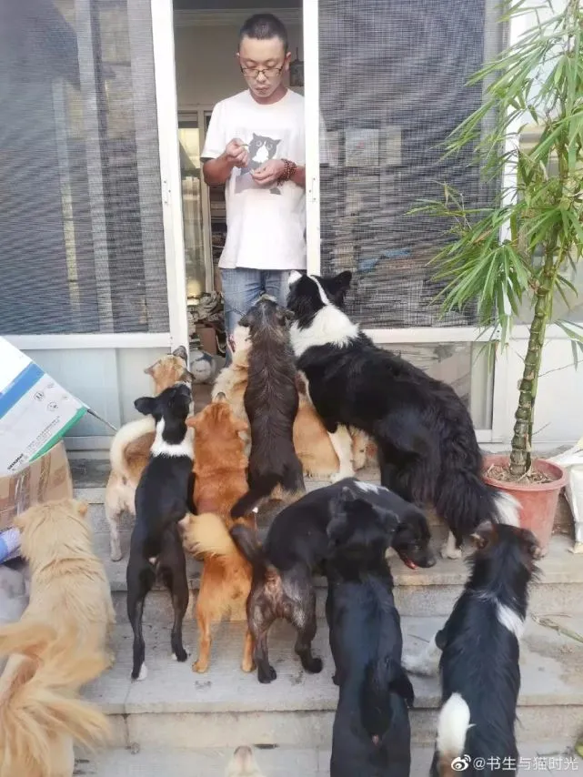 北京流氓书生走了，留下了一百多只流浪猫