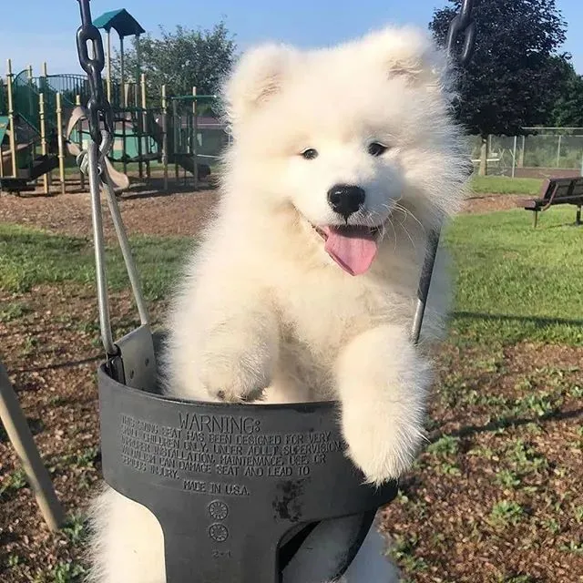 快来欣赏奶甜的盛世美颜～