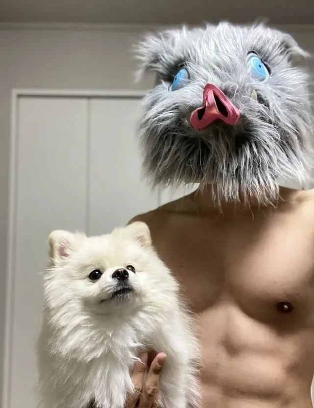 你为什么没有练出腹肌？可能是因为你没有养狗……