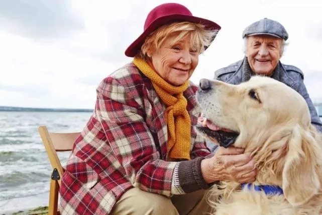 老年人养宠物“不差钱”，正撑起一个近700亿的大市场