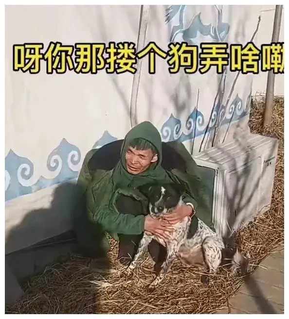 尬舞网红刘东立故伎重演，为何喜欢放羊养狗？