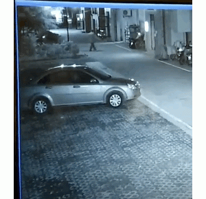 警告：“小区已经申领2000包毒狗粮，毒死狗后果自负！”