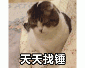 猫咪挨打的时候，为什么不敢还手？背后原因太心酸