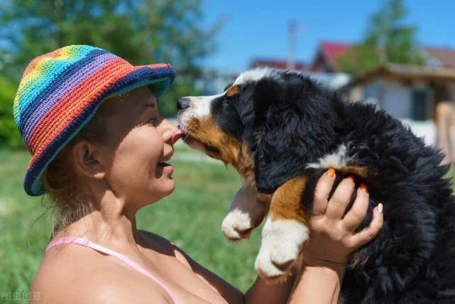 若一只狗被“养得好”，会有这6种特征，藏不住的