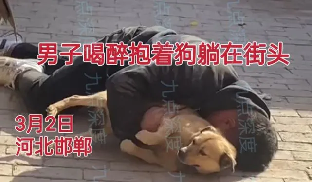 河北一男子醉酒失去理智，将小母狗当成女朋友，小狗死死夹住尾巴