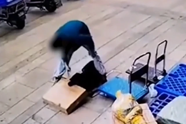 云南狗不会叼快递遭主人虐待追砍？好心人买下花3千治好，原主欲买回