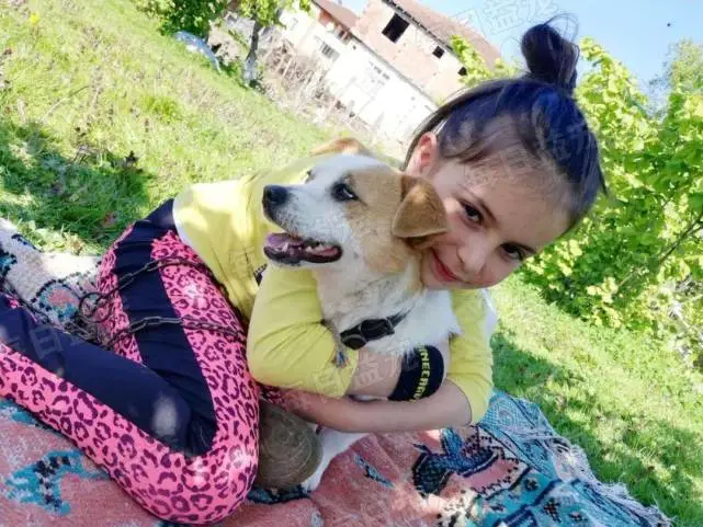 8岁女孩背着狗狗雪地行走3公里，只为找到兽医，给狗狗治病