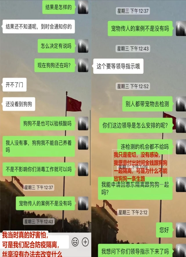 广东惠州：怀疑狗狗感染，乱棍将其打死，参与者被停职处理