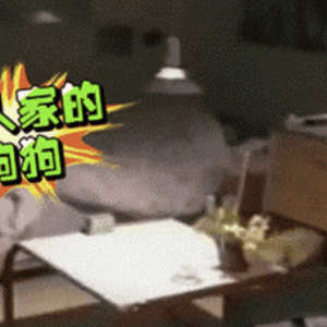 我天天迟到的原因是：闹钟被狗关了你信吗？